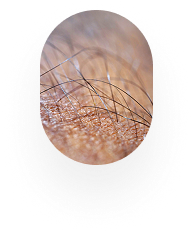 Evaluación y tratamiento de afecciones en cabello, uñas y piel.